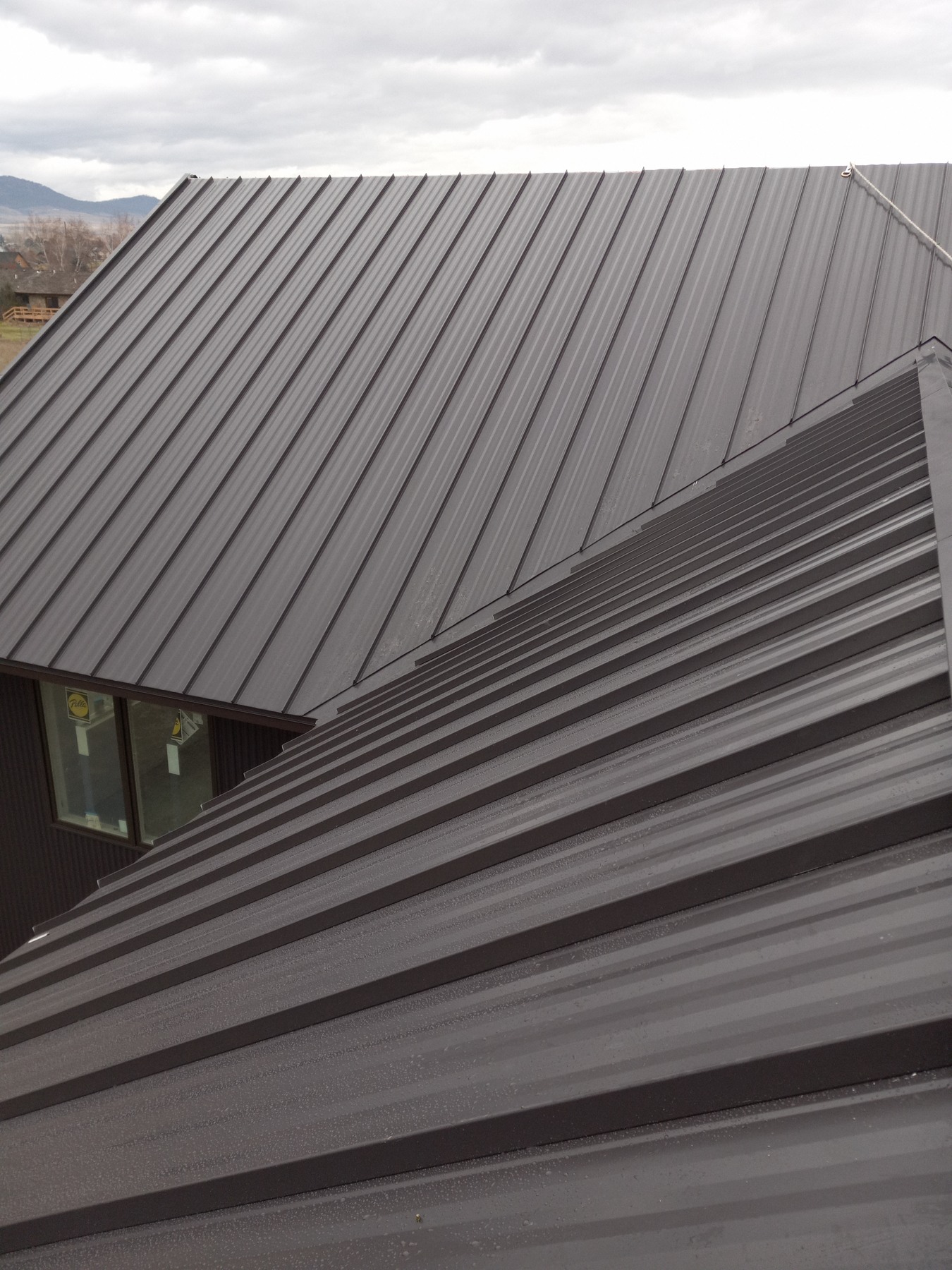 Metal roof detail